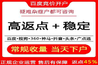 SEM推广技巧：成功案例深度剖析